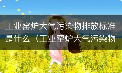 工业窑炉大气污染物排放标准是什么（工业窑炉大气污染物排放标准gb9078-1996）