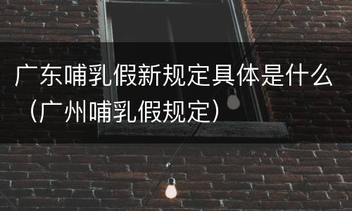 广东哺乳假新规定具体是什么（广州哺乳假规定）