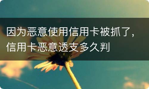 因为恶意使用信用卡被抓了，信用卡恶意透支多久判