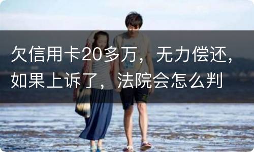 欠信用卡20多万，无力偿还，如果上诉了，法院会怎么判