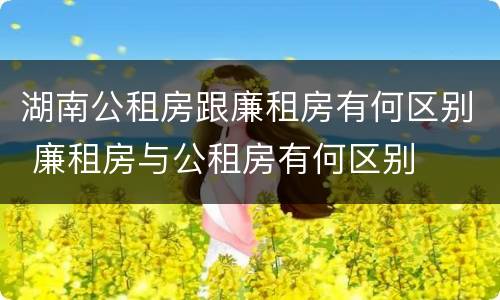 湖南公租房跟廉租房有何区别 廉租房与公租房有何区别