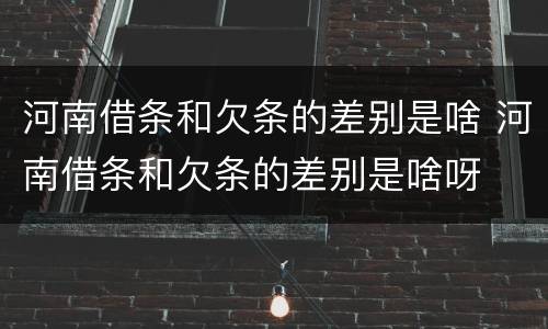 河南借条和欠条的差别是啥 河南借条和欠条的差别是啥呀