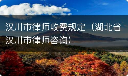 汉川市律师收费规定（湖北省汉川市律师咨询）