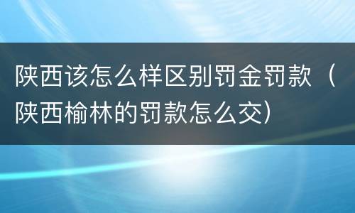 陕西该怎么样区别罚金罚款（陕西榆林的罚款怎么交）