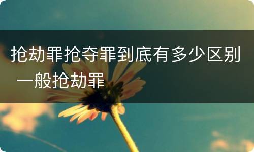 抢劫罪抢夺罪到底有多少区别 一般抢劫罪