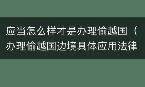 应当怎么样才是办理偷越国（办理偷越国边境具体应用法律的解释）
