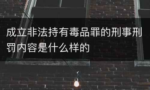 成立非法持有毒品罪的刑事刑罚内容是什么样的