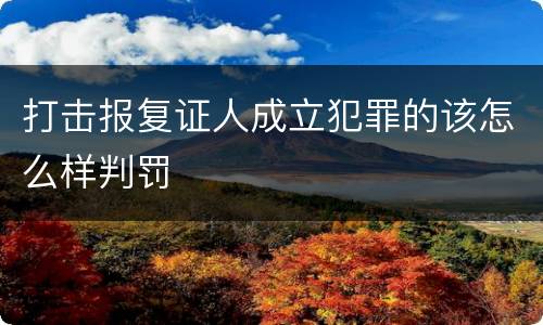 打击报复证人成立犯罪的该怎么样判罚