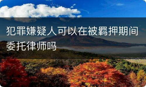犯罪嫌疑人可以在被羁押期间委托律师吗