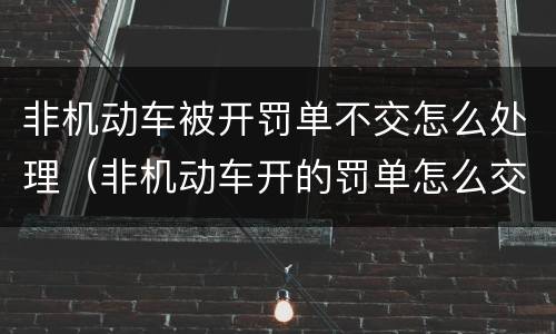 非机动车被开罚单不交怎么处理（非机动车开的罚单怎么交）