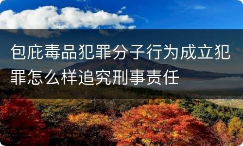 包庇毒品犯罪分子行为成立犯罪怎么样追究刑事责任