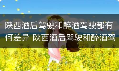 陕西酒后驾驶和醉酒驾驶都有何差异 陕西酒后驾驶和醉酒驾驶都有何差异和不足