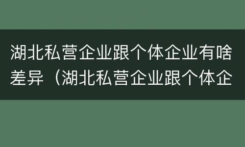 湖北私营企业跟个体企业有啥差异（湖北私营企业跟个体企业有啥差异吗）