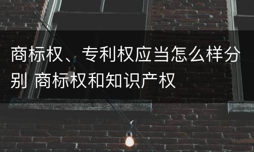 商标权、专利权应当怎么样分别 商标权和知识产权