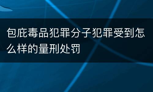包庇毒品犯罪分子犯罪受到怎么样的量刑处罚