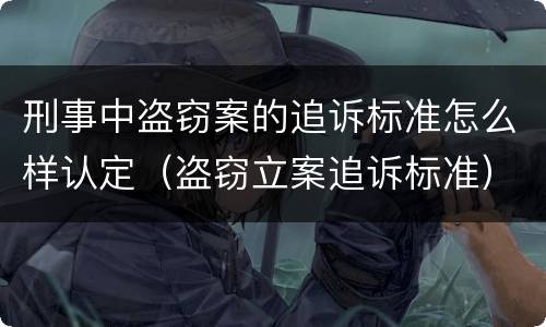 刑事中盗窃案的追诉标准怎么样认定（盗窃立案追诉标准）