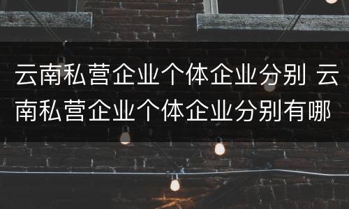 云南私营企业个体企业分别 云南私营企业个体企业分别有哪些