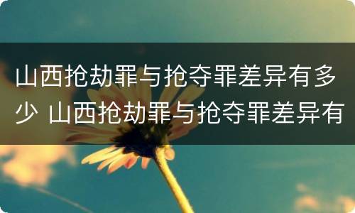 山西抢劫罪与抢夺罪差异有多少 山西抢劫罪与抢夺罪差异有多少条