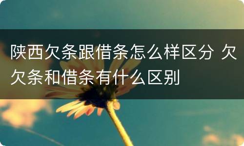 陕西欠条跟借条怎么样区分 欠欠条和借条有什么区别