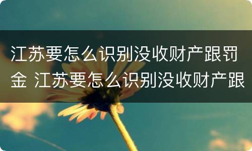 江苏要怎么识别没收财产跟罚金 江苏要怎么识别没收财产跟罚金的人