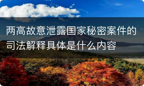 两高故意泄露国家秘密案件的司法解释具体是什么内容