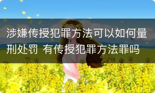 涉嫌传授犯罪方法可以如何量刑处罚 有传授犯罪方法罪吗