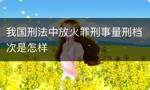 我国刑法中放火罪刑事量刑档次是怎样