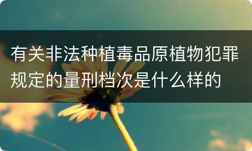 有关非法种植毒品原植物犯罪规定的量刑档次是什么样的