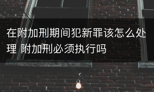 在附加刑期间犯新罪该怎么处理 附加刑必须执行吗