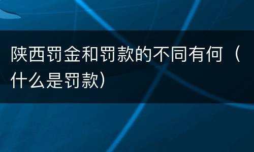 陕西罚金和罚款的不同有何（什么是罚款）