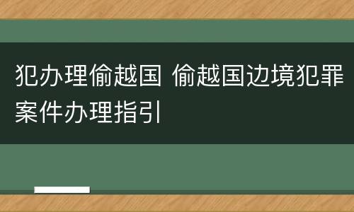 犯办理偷越国 偷越国边境犯罪案件办理指引
