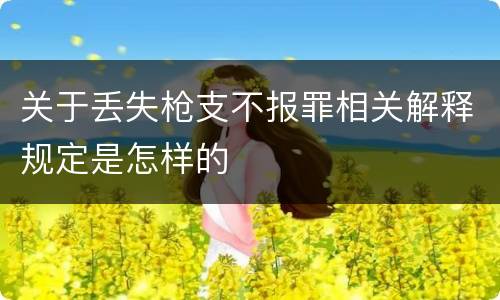 关于丢失枪支不报罪相关解释规定是怎样的