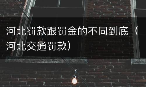 河北罚款跟罚金的不同到底（河北交通罚款）