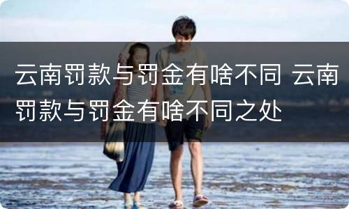 云南罚款与罚金有啥不同 云南罚款与罚金有啥不同之处