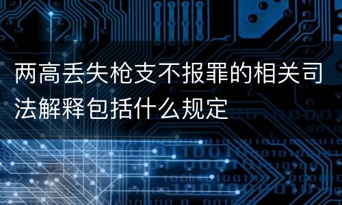 两高丢失枪支不报罪的相关司法解释包括什么规定