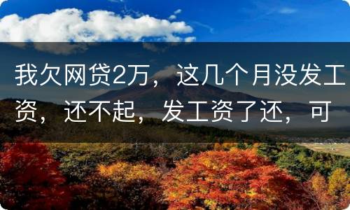 我欠网贷2万，这几个月没发工资，还不起，发工资了还，可以吗