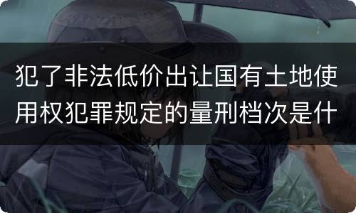 犯了非法低价出让国有土地使用权犯罪规定的量刑档次是什么
