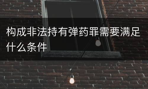 构成非法持有弹药罪需要满足什么条件