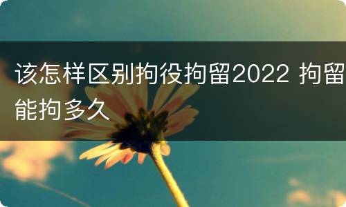 该怎样区别拘役拘留2022 拘留能拘多久