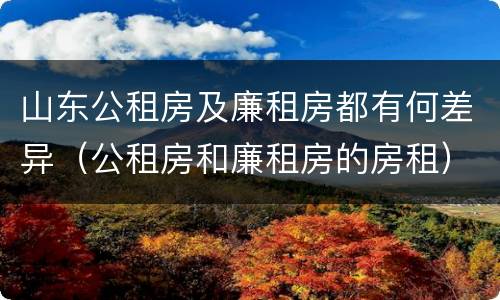 山东公租房及廉租房都有何差异（公租房和廉租房的房租）