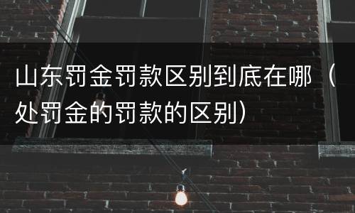 山东罚金罚款区别到底在哪（处罚金的罚款的区别）