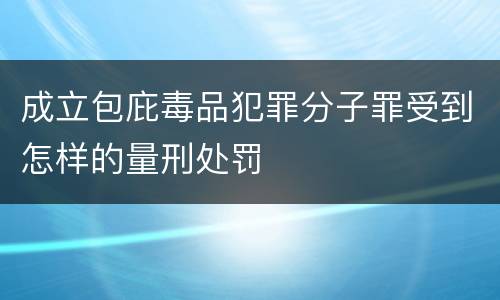 成立包庇毒品犯罪分子罪受到怎样的量刑处罚