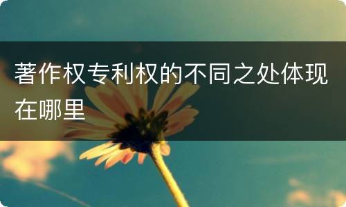 著作权专利权的不同之处体现在哪里