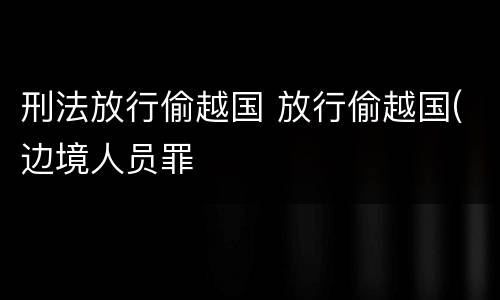 刑法放行偷越国 放行偷越国(边境人员罪
