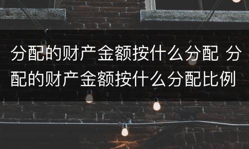 分配的财产金额按什么分配 分配的财产金额按什么分配比例