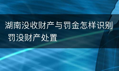 湖南没收财产与罚金怎样识别 罚没财产处置