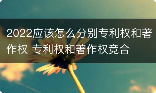 2022应该怎么分别专利权和著作权 专利权和著作权竞合