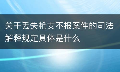 关于丢失枪支不报案件的司法解释规定具体是什么