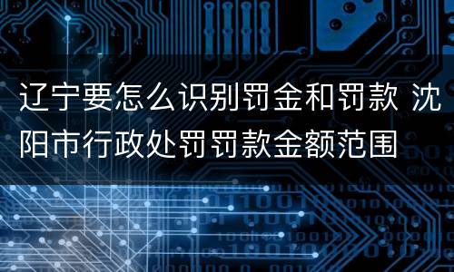 辽宁要怎么识别罚金和罚款 沈阳市行政处罚罚款金额范围