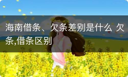 海南借条、欠条差别是什么 欠条,借条区别